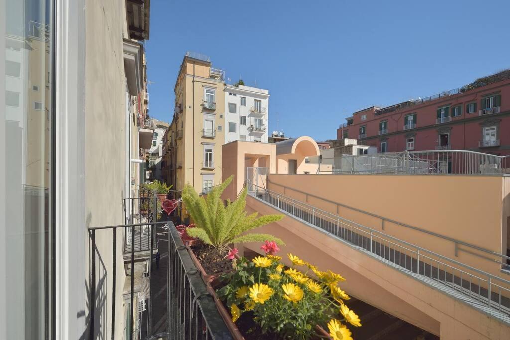 Ferrigni 20 * Napoli